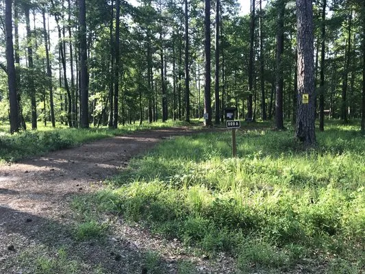 turkey-trot-hunter-camp-homer-jep6h
