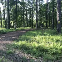 turkey-trot-hunter-camp-homer-jep6h