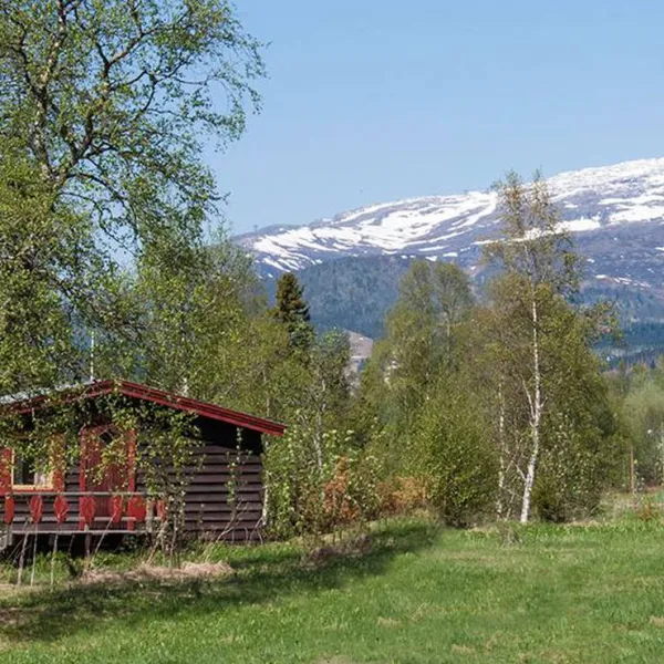 are-camping-are-1jtbl