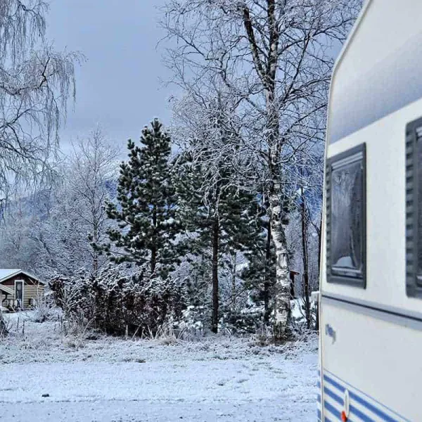 are-camping-are-8j7qc