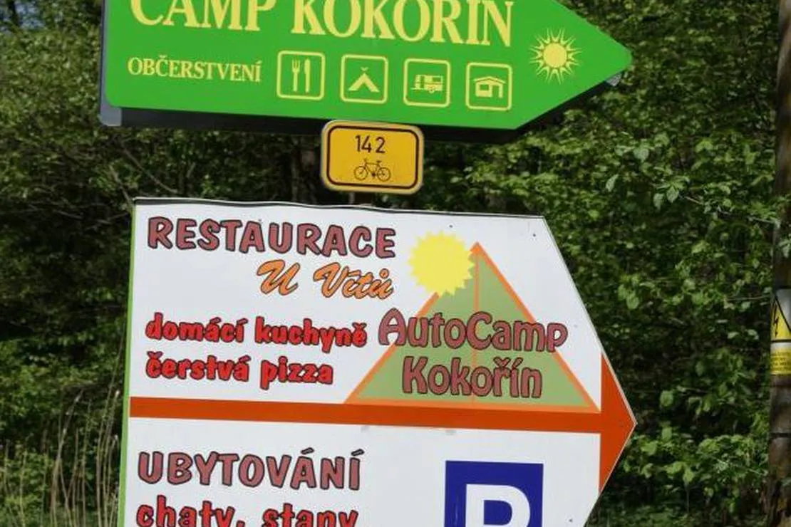 atc-kokorin-kokorin-46e7f