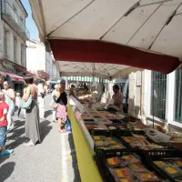 le-neri-mauroux-djblm