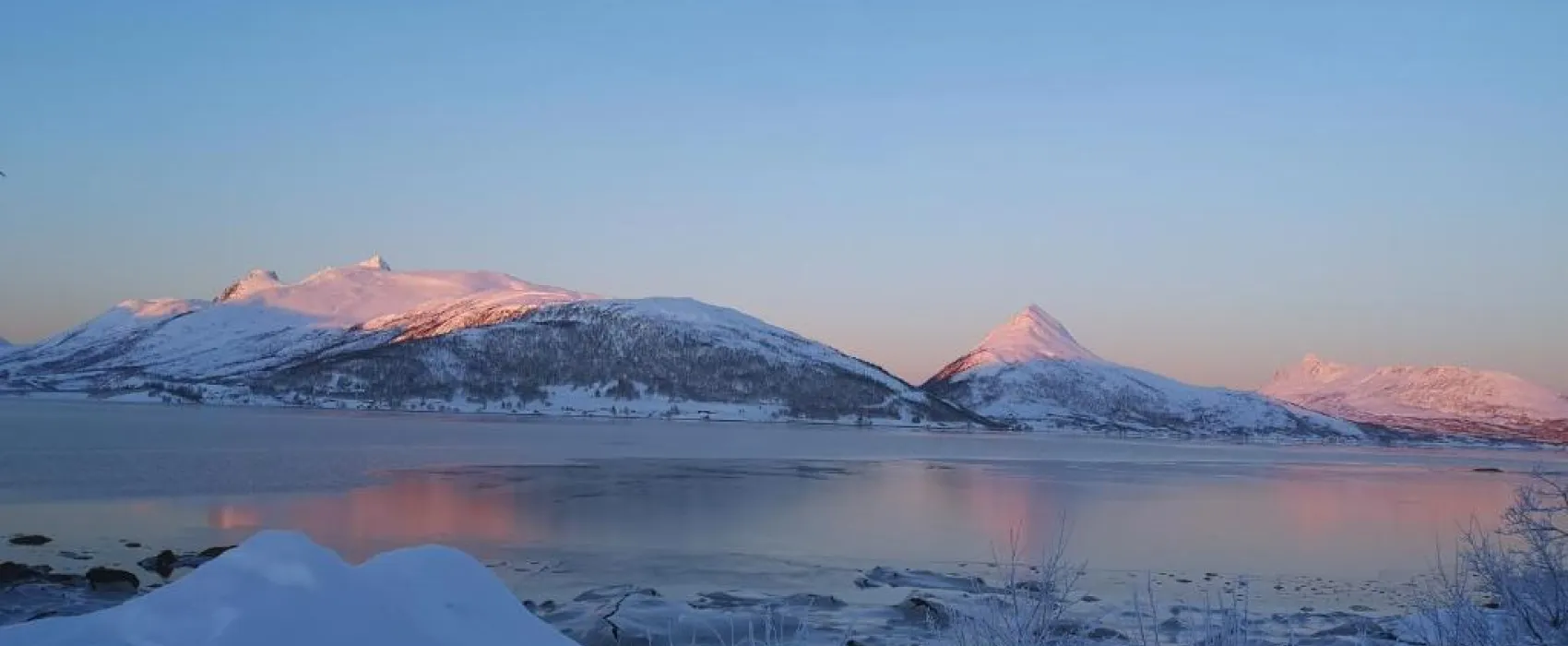 Fjordbotn camping