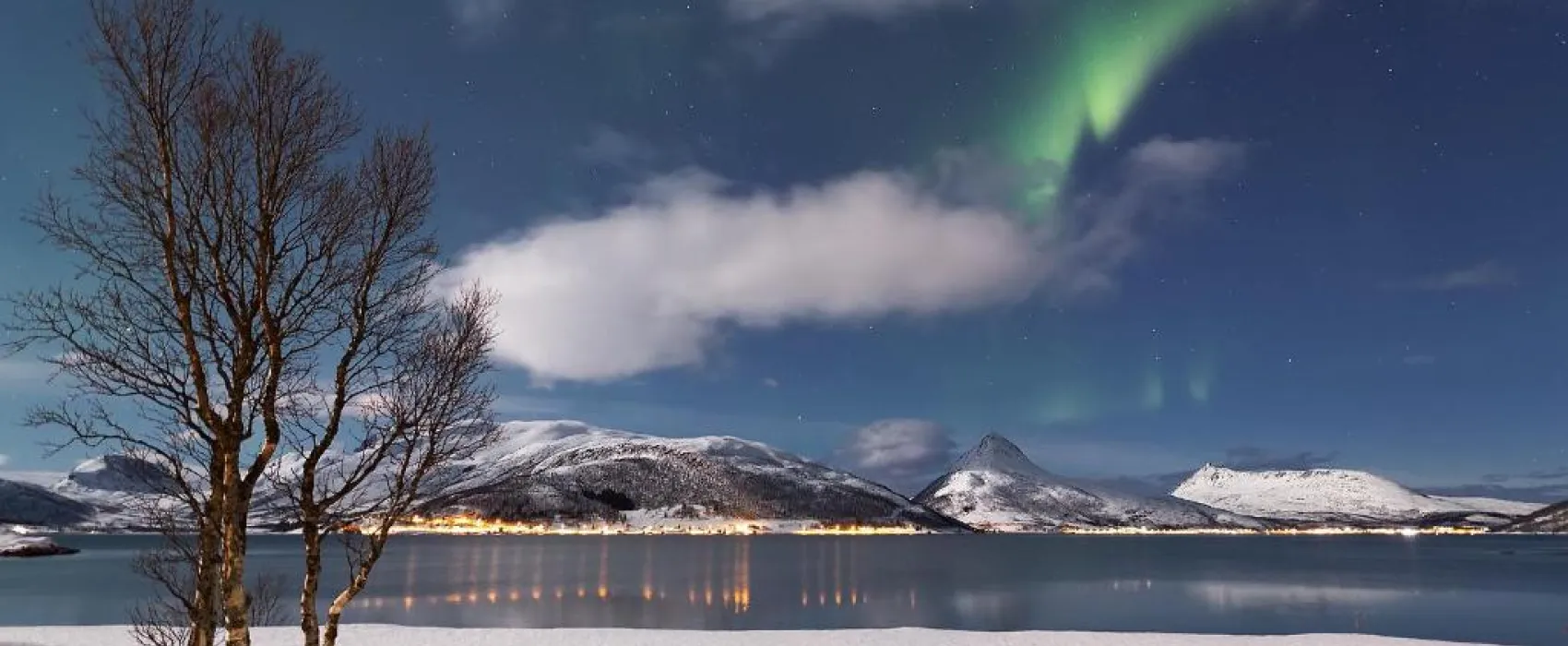 Fjordbotn camping