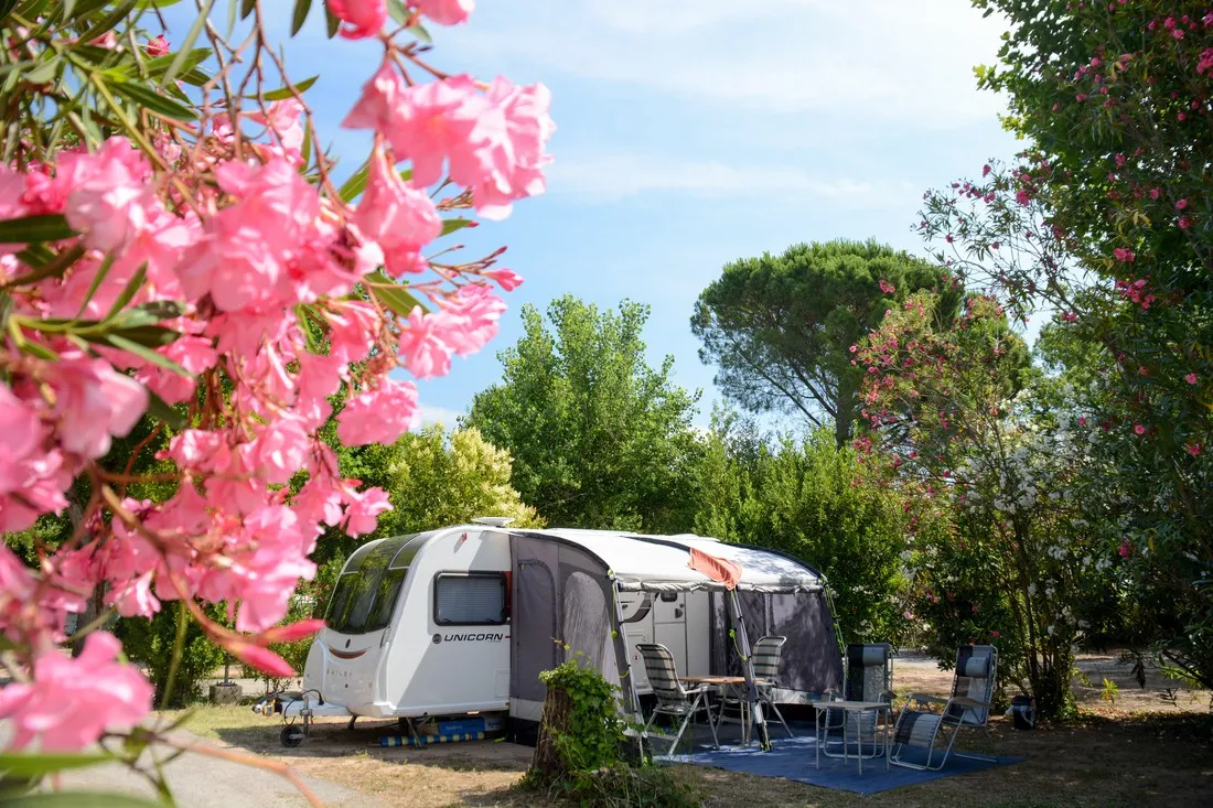 les-pecheurs-glamping-roquebrune-sur-argens-bpjsr