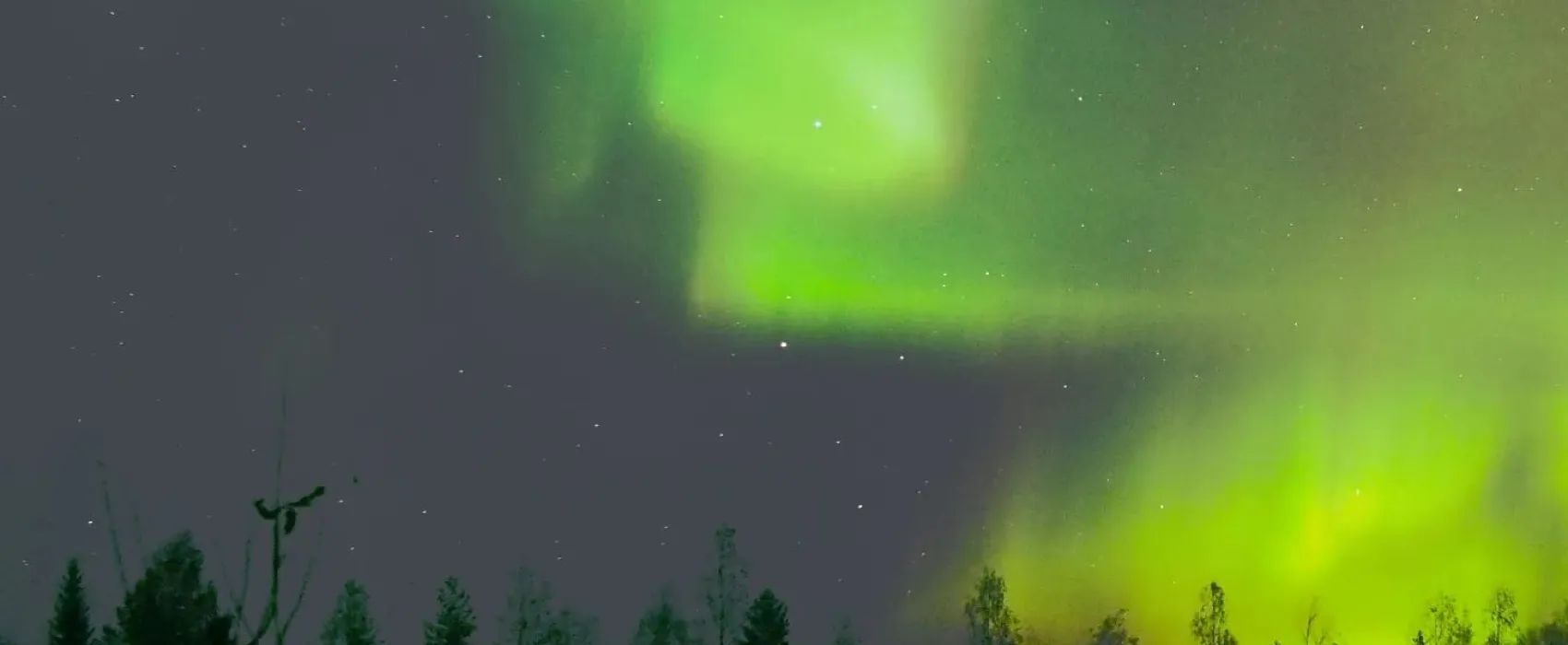 Vaikon Loma ja Lohi