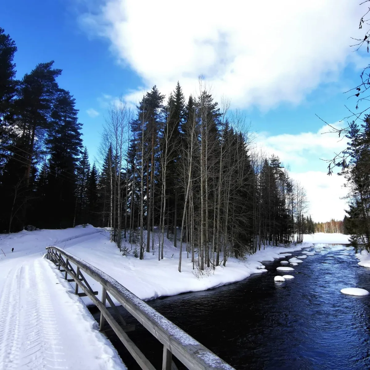 vaikon-loma-ja-lohi-kortteinen-i3oju