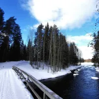 vaikon-loma-ja-lohi-kortteinen-i3oju