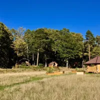 osenbach-osenbach-wsgui