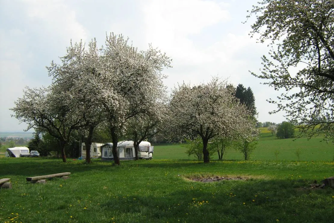 camping-zebrakov-svetla-nad-sazavou-19k0n