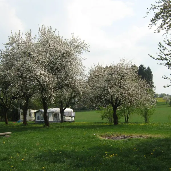 camping-zebrakov-svetla-nad-sazavou-19k0n