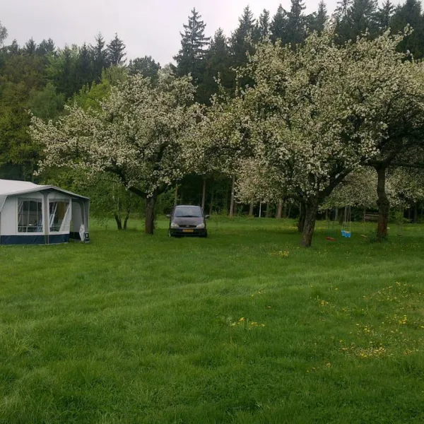 camping-zebrakov-svetla-nad-sazavou-5vxhz