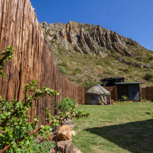 Malachite Yurt Camp