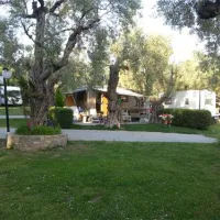 campsite-hellas-international-katogatzea-0dyuv