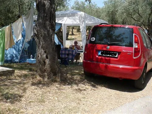 campsite-hellas-international-katogatzea-79vgn