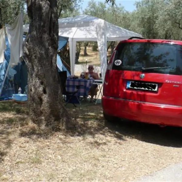 campsite-hellas-international-katogatzea-79vgn