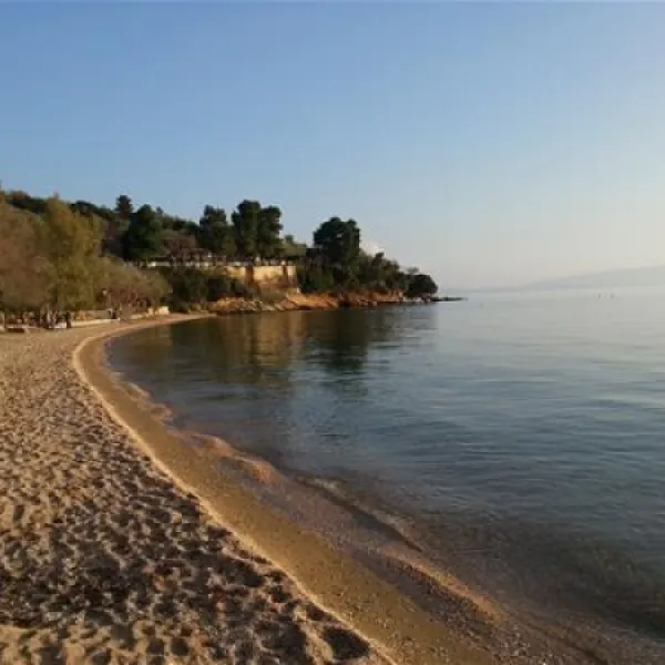 campsite-hellas-international-katogatzea-ezfer