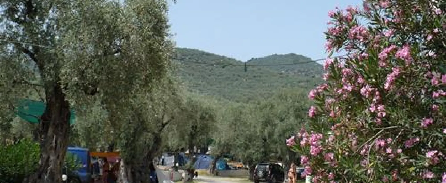 Campsite Hellas International