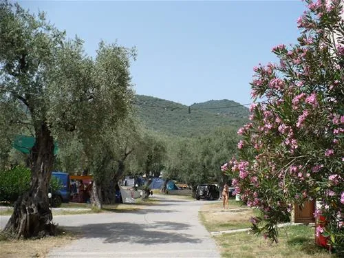 campsite-hellas-international-katogatzea-g8w9o