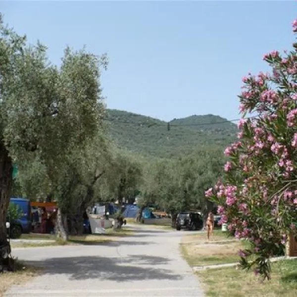 campsite-hellas-international-katogatzea-g8w9o