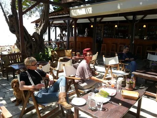 campsite-hellas-international-katogatzea-hdxd3