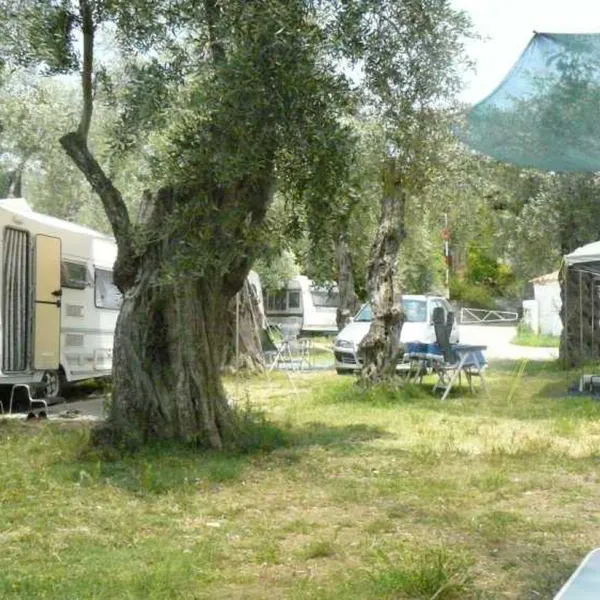 campsite-hellas-international-katogatzea-ixke1