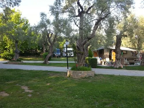 campsite-hellas-international-katogatzea-jc2xi