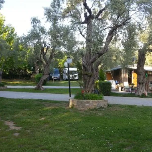 campsite-hellas-international-katogatzea-jc2xi