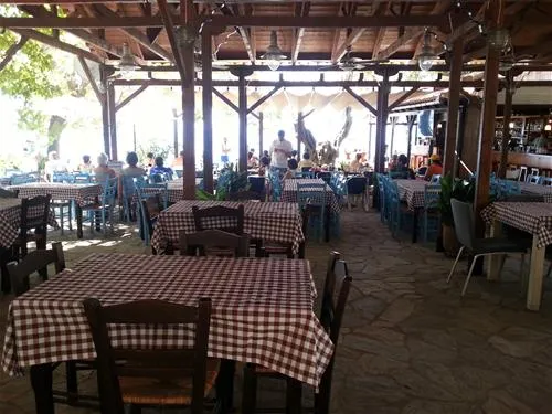 campsite-hellas-international-katogatzea-umgzu