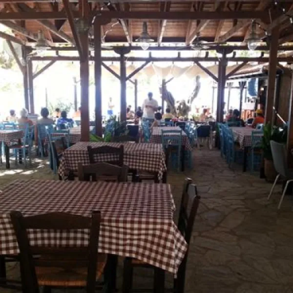 campsite-hellas-international-katogatzea-umgzu