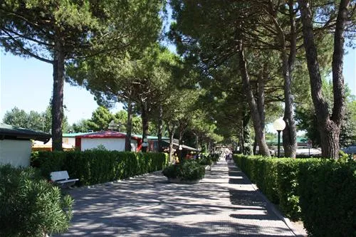 camping-marina-di-venezia-cavallino-0fbx6
