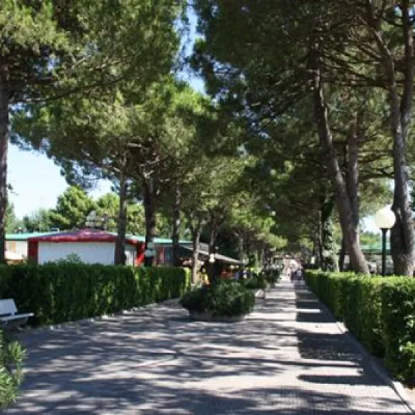 camping-marina-di-venezia-cavallino-0fbx6
