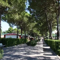 camping-marina-di-venezia-cavallino-0fbx6
