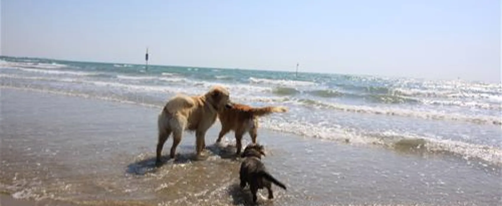 Camping Marina di Venezia