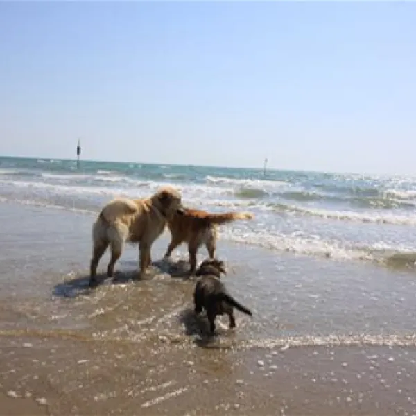 Camping Marina di Venezia