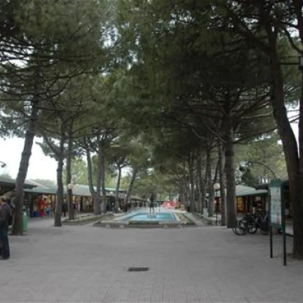 camping-marina-di-venezia-cavallino-p8nkh