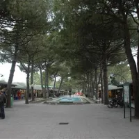 camping-marina-di-venezia-cavallino-p8nkh