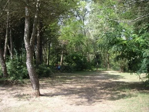 camping-marina-di-venezia-cavallino-rapi3