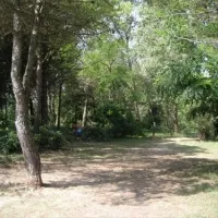 camping-marina-di-venezia-cavallino-rapi3