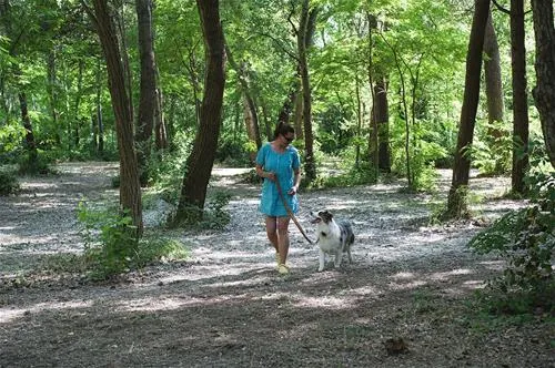 camping-marina-di-venezia-cavallino-ukqjx