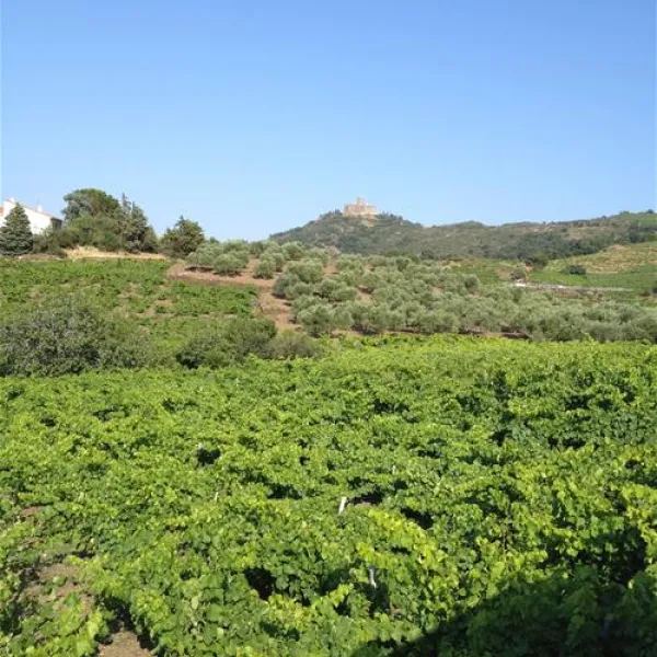 castel-les-criques-de-porteils-argeles-sur-mer-7c3wm