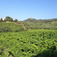 castel-les-criques-de-porteils-argeles-sur-mer-7c3wm
