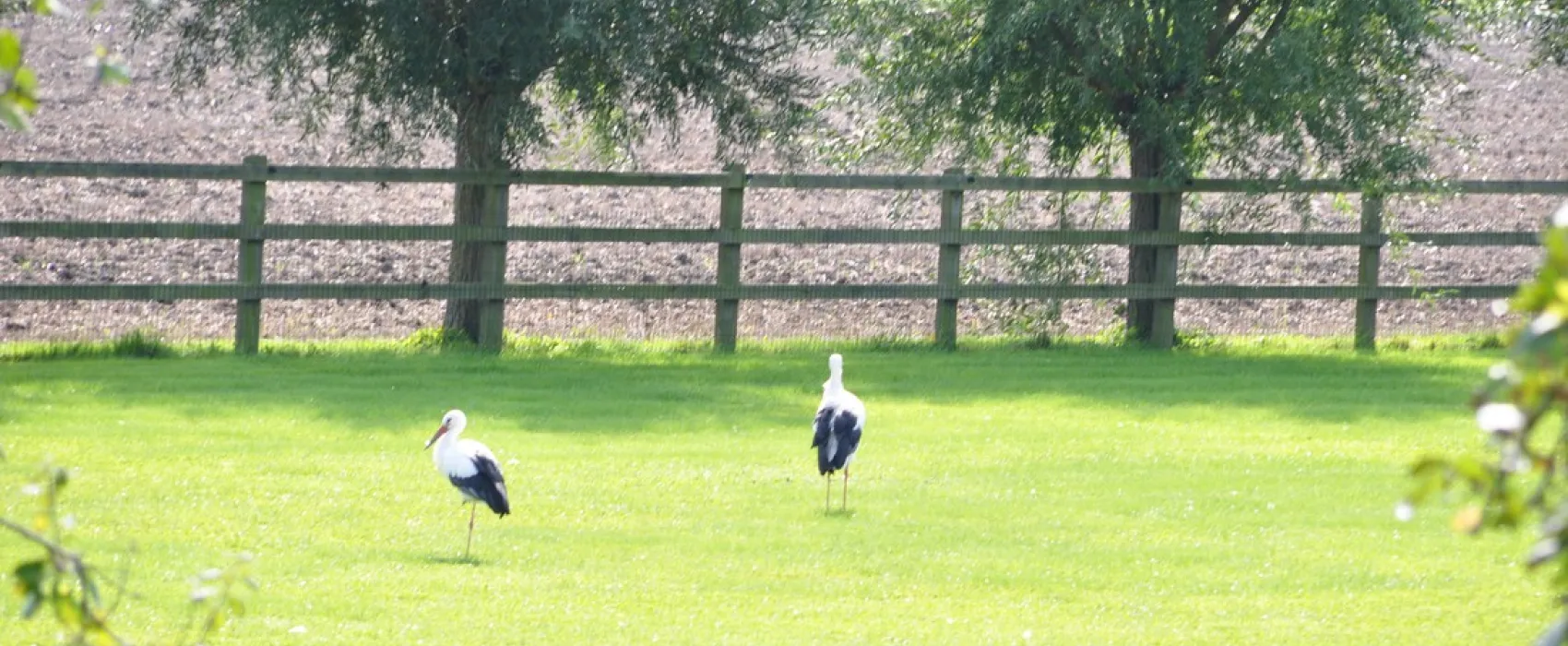 Zeeland Camping International