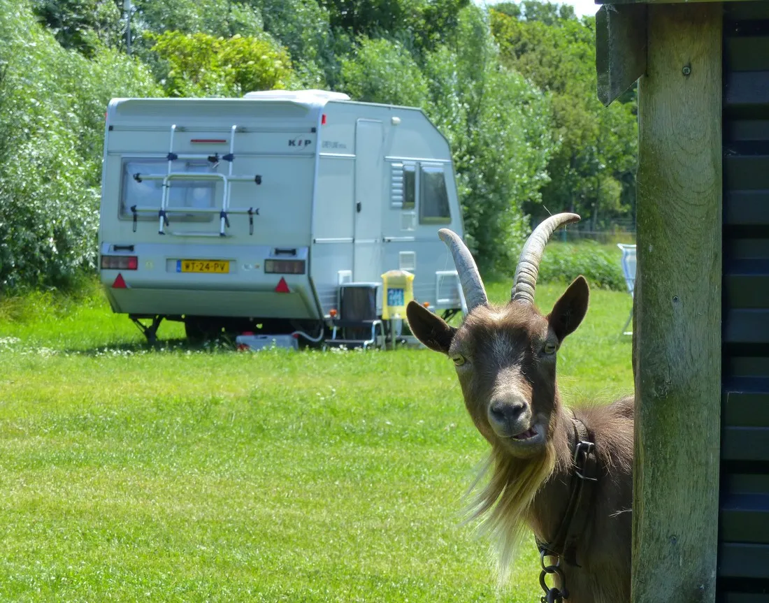 camping-de-gouw-hoogwoud-sx0si