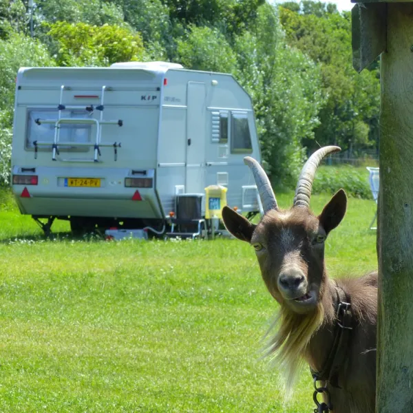 camping-de-gouw-hoogwoud-sx0si