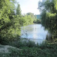 campingplatz-escherndorf-volkachescherndorf-acvww