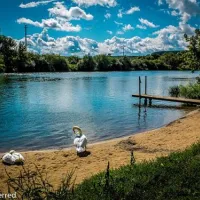 campingplatz-escherndorf-volkachescherndorf-n1r1k