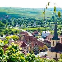 campingplatz-escherndorf-volkachescherndorf-nvhfw