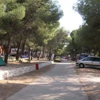 camping-adriatic-primosten-nisci