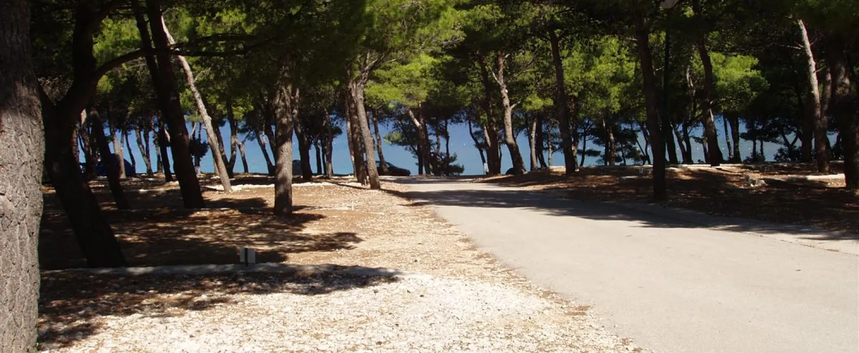 Camping Adriatic